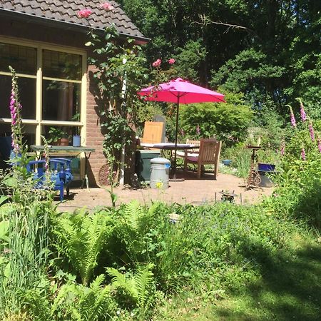 Blauwe Lelie Villa Ewijk Exteriör bild