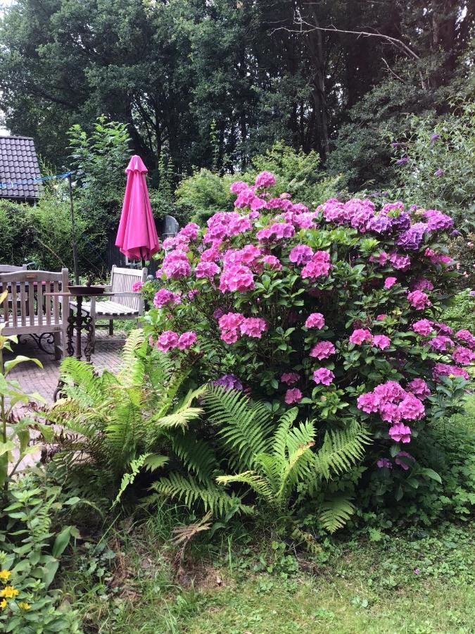Blauwe Lelie Villa Ewijk Exteriör bild