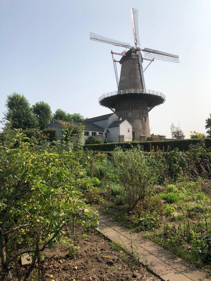 Blauwe Lelie Villa Ewijk Exteriör bild