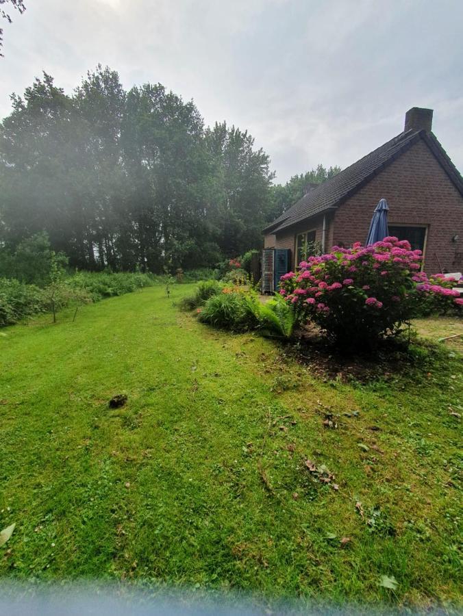 Blauwe Lelie Villa Ewijk Exteriör bild